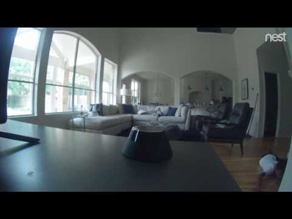 Dad Sets Up Secret Camera to Catch His Rule Breaking Son