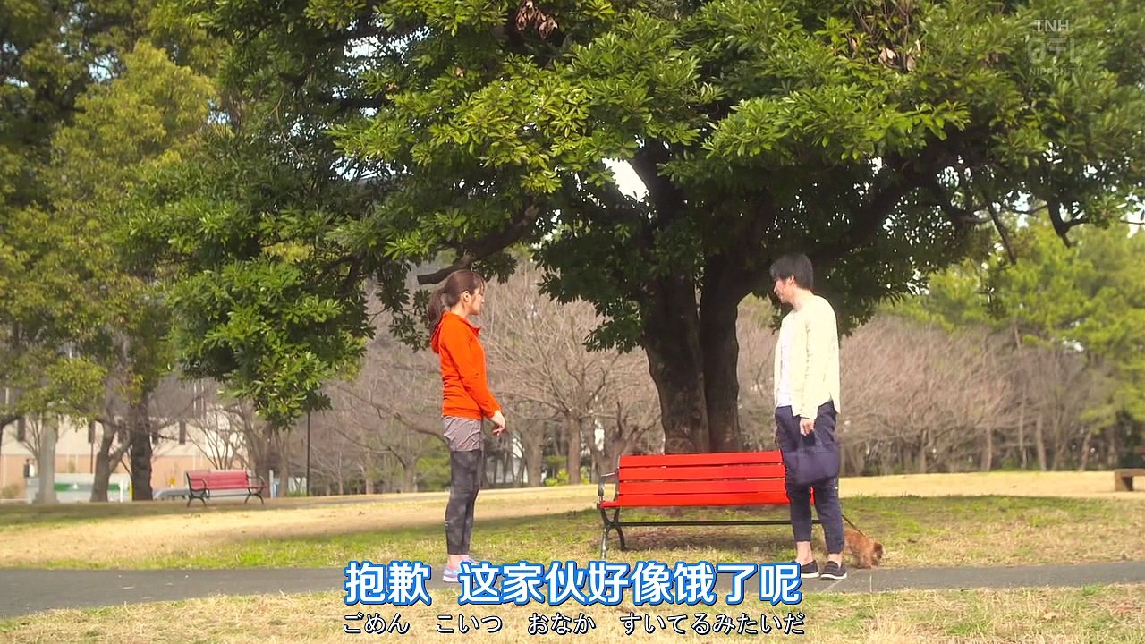 日剧】爱情败犬向前冲 01