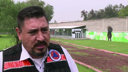 حياة ثانية تكتب للكلاب الشاردة في محطات قطار الأنفاق في مكسيكو