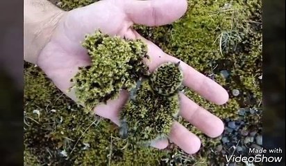 لقطات اخذت بعفوية و لم يصدق اصحبها الصور التي خرجت عليه .. ولن تصدق انت ايضا