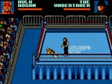 WWF Wrestlemania Steel Cage Challenge (Game Gear)