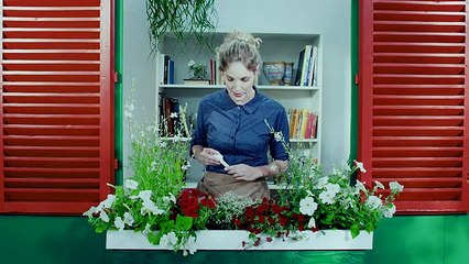 helloplant – keep your plants alive