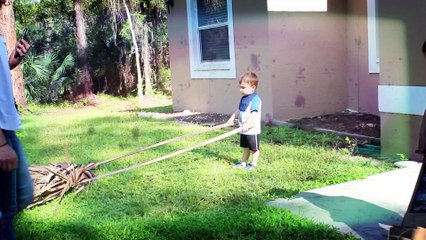 Ember's First Day of Kindergarten Classical Conversations August 16th 2017