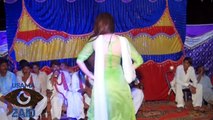 Mehak Malik's buddy Madam Malaika dance on Persian song