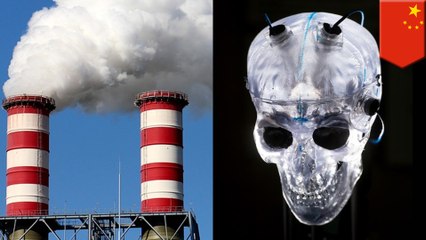 Pollution-induced stress could prove fatal, Chinese research shows