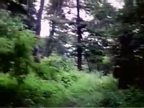 바카라강원랜드행사▷▷ＢＳＣ８２。ＣＯＭ◁◁바카라양방