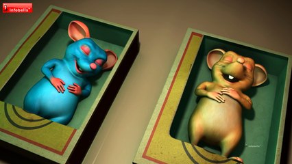 Do Chuhe The Mote Mote Hindi Rhymes for Children