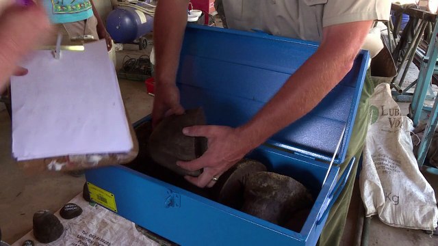 Breeder to hold first 'legal' rhino horn auction in South Africa