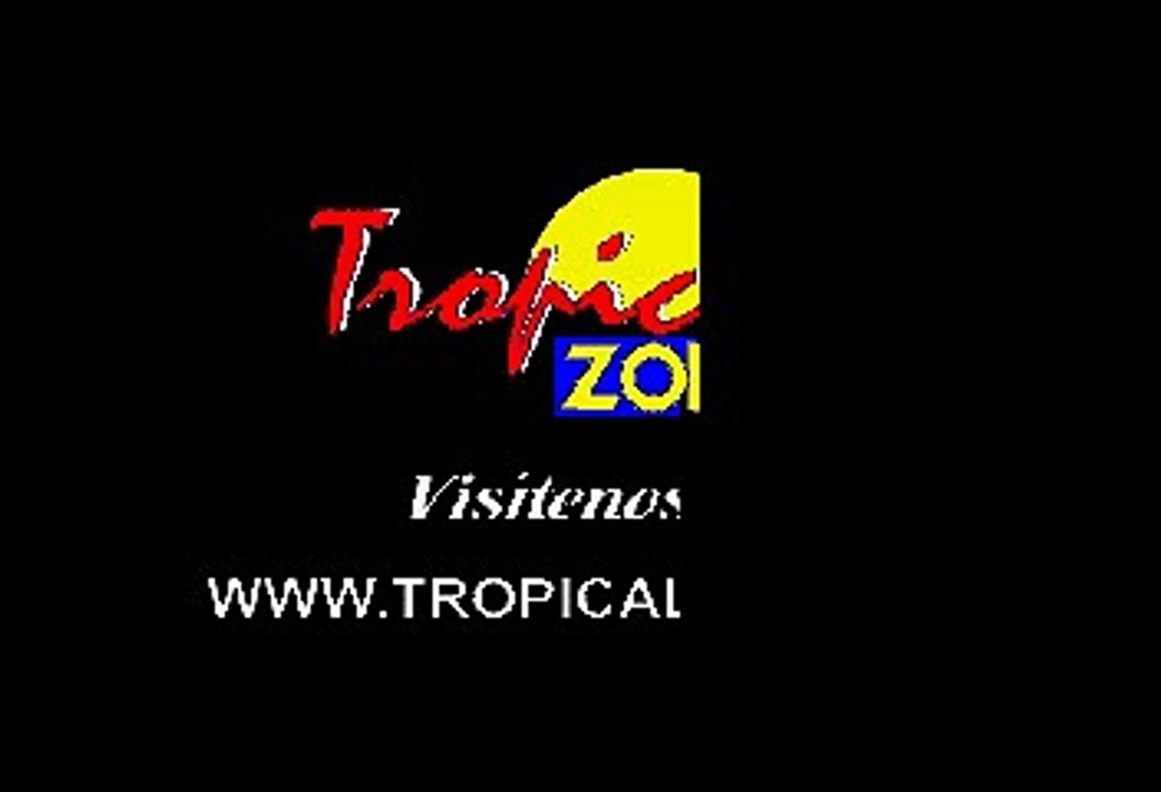 Reik - Ahora Sin Ti (Karaoke)