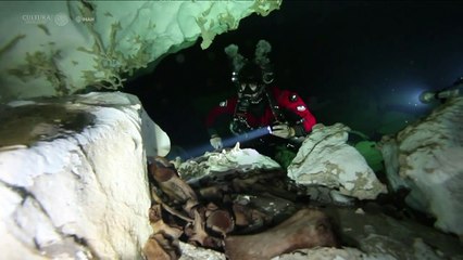Encontrados no México fósseis de preguiça-gigante