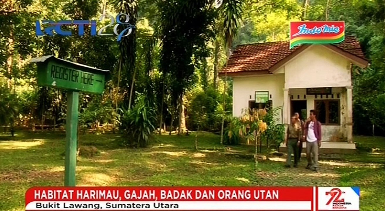 Melihat Pesona Taman Nasional Gunung Leuser dengan Beragam Satwa Langka