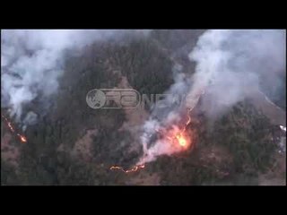 Ora News - Zjarri rrezikon djegien e masivit pyjor mes fshatit Lekas dhe Voskopojë