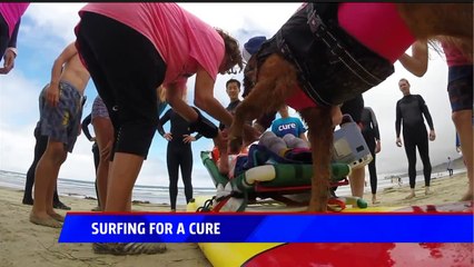 San Diego Children With Terminal Illnesses Surf With Help of Dog