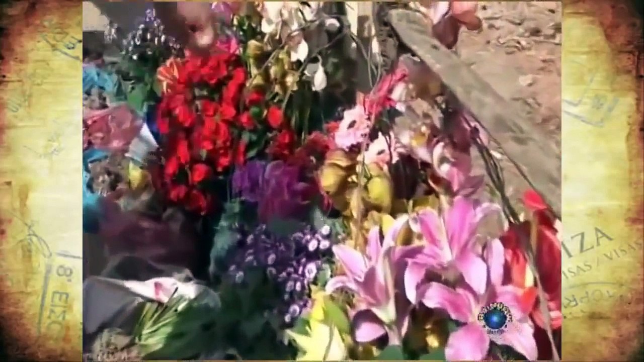 Khám Phá Thành Phố Mộng Mơ Đà Lạt Ngàn Hoa , Phóng Sự Du Lịch - YouTube