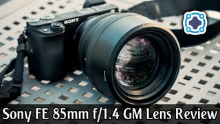 Review - Sony FE 85mm f/1.4 GM Lens