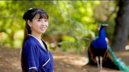 Dong Min - Rain in Jiang'nan《雨碎江南》 - Bamboo Flute Music