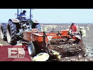 CNDH condena explotación de indígenas en BCS / Titulares de la tarde