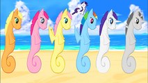 Livre coloration épisode pour enfants petit crinière mon poney vidéo ✿ compilation de MLP 6 dragon FIM