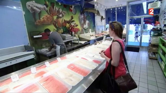 Le Canada devient le premier pays à vendre du saumon transgénique, mais qu'est-ce que c'est ? Regardez