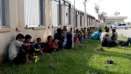 Hatay'da 80 Kaçak Göçmen Yakalandı