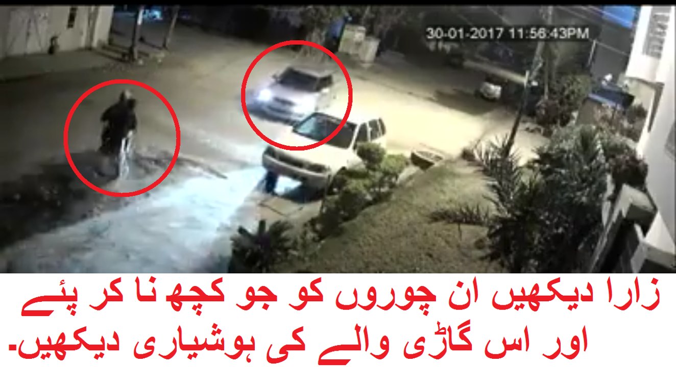 Snatching On Its Peak