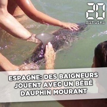 Espagne: Des baigneurs jouent avec un petit dauphin mourant