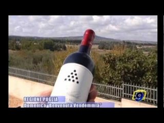 REGIONE PUGLIA | Domenica "Benvenuta Vendemmia"