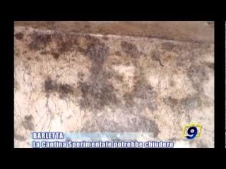 BARLETTA | La Cantina Sperimentale potrebbe chiudere