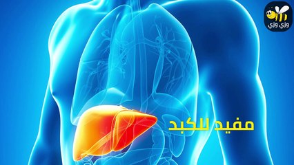 معلومات صادمة عن شراب الكركديه