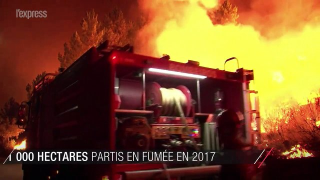 Portugal: 141 000 hectares partis en fumée en 2017