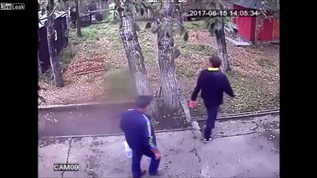 Il veut nourrir un ours et se fait bouffer la main !