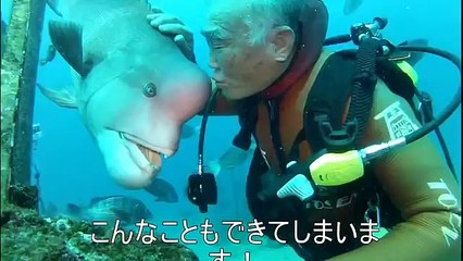Japanski ronilac ima vrlo neobičnog prijatelja! Već 25 godina, njih dvojica imaju neobičan ritual!