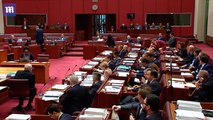 Pauline Hanson wears a burqa into the Australian senate