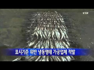 표시기준 위반 냉동명태 가공업체 적발 / YTN