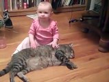 Beba je zgrabila mačku koja je ležala, ali roditelji nisu očekivali OVAKVU reakciju!
