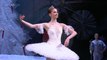 Pyotr Ilyich Tchaikovsky / Anna Nikulina Dance of the Sugar Plum Fairy / 2014