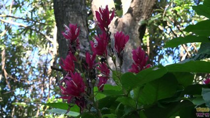 Top 10 Best Tourist Attractions in Australia