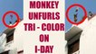 Indian national flag unfurled by monkey at a school, Watch Video | Oneindia News