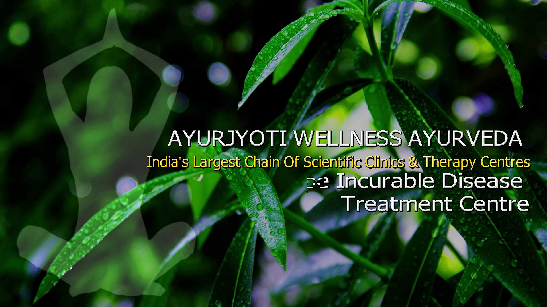 Introduction of Ayurjyoti Wellness Ayurveda and their Ayurveda Treatment