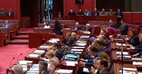 Pauline Hanson, leader du parti d'extrême-droite en Australie, se rend en burqa au Parlement