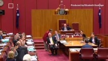 Anti-Muslim Australian Senator Wears Burqa to Parliament