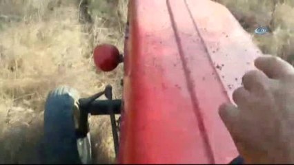 Tavuk Çiftliği Yüzünden Canlarından Bezen Köylüler Sinek Avı Başlattı