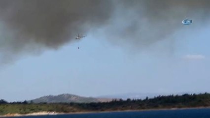 Ayvalık'ta Orman Yangını