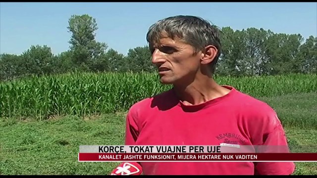 Korçë, tokat vuajnë për ujë - News, Lajme - Vizion Plus