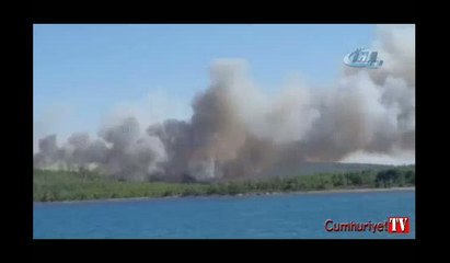 Ayvalık Şeytan Sofrası’nda orman yangını çıktı