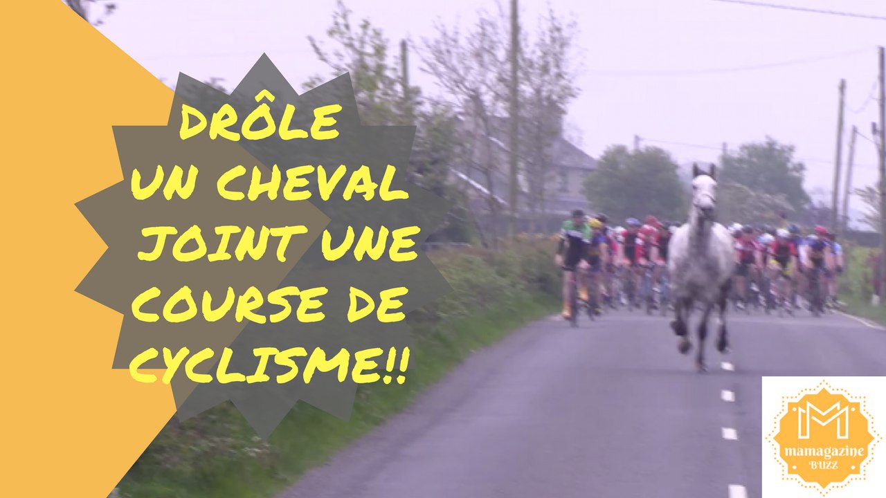 Drôle- Un cheval joint une course de cyclisme!!