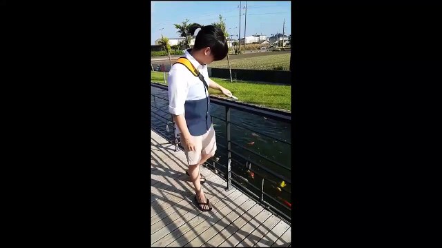 Un homme voulait nourrir des poissons ,il percute un poteau de lumière !!