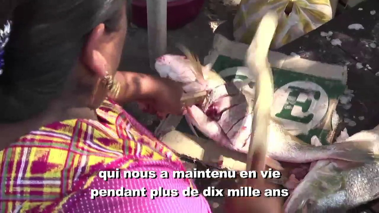 Le vent de la Révolte