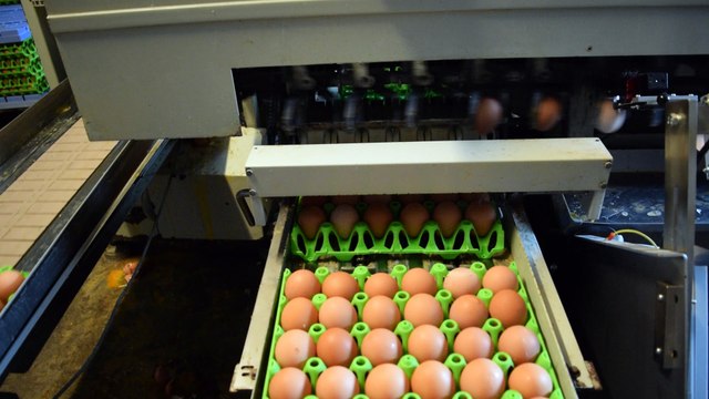 Visite ministérielle à la ferme du Bois à Virelles (Chimay)