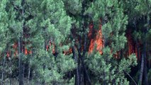 Wildfires trap 2,000 villagers in Portugal